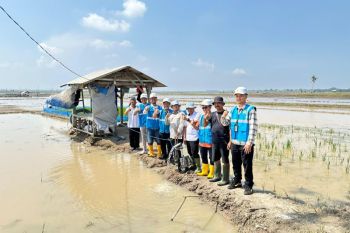 PLN Lampung dukung ketahanan pangan berbasis energi