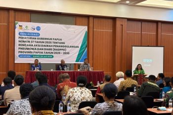 Pemprov Papua tetapkan rencana aksi mencegah Pneumonia hingga 2030