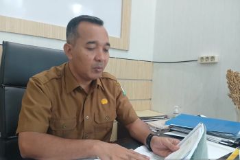 Capaian luas tanam padi di Aceh 312.474 hektare