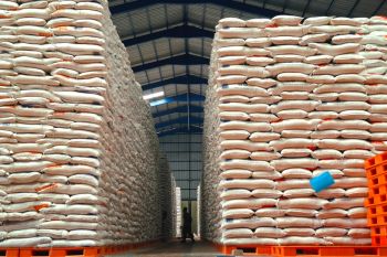 Kuota beras SPHP di Koperasi Desa Merah Putih sebanyak dua ton