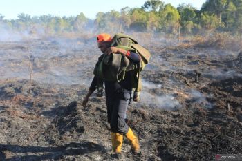 Kebakaran lahan diduga untuk pembukaan lahan kembali terjadi, layaknya agenda tahunan