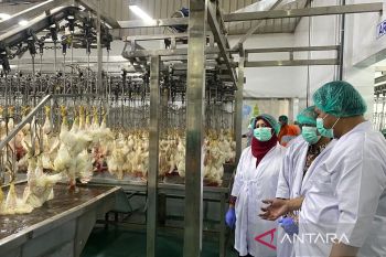 Komisi B DPRD Kudus sidak RPH unggas PT Anthony Jaya Perkasa