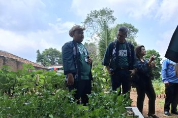 FAO sebut kurikulum dapat kenalkan pertanian kepada anak sejak dini