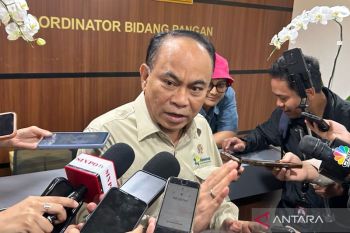 Pemerintah dorong pembiayaan dan relaksasi regulasi Kopdes Merah Putih