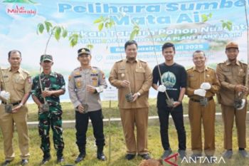 Pemkab Banyuasin lestarikan lingkungan, tanam 1.250 bibit pohon penghijauan