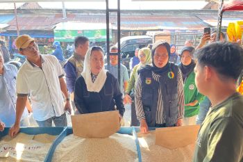 Harga beras premium di Palu melonjak jadi Rp18.000/kg