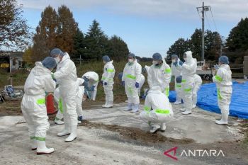 Kamboja laporkan kasus Flu Burung H5N1 ke-14 pada manusia di tahun Ini