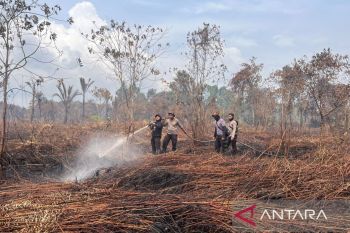 Karhutla di Kepulauan Meranti : satu tersangka diamankan, petugas masih berjibaku padamkan api