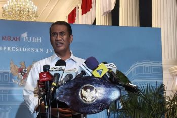 Mentan sebut 212 merek beras terbukti langgar regulasi pemerintah