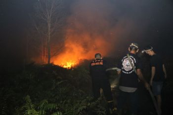 Wildfires near Singkawang Airport ravage 31 ha land: govt
