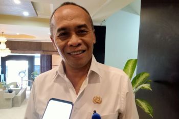 Sebanyak 110 hektare sawah di Mataram terdampak banjir