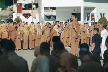 Wabup: Harkitnas mentum membuka lembar sejarah perjuangan bangsa