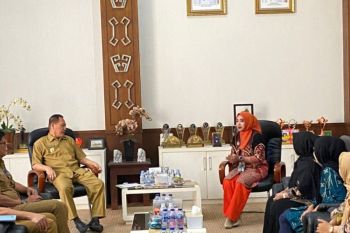 PNM sinergi dengan Pemkab Tulang Bawang untuk bentuk UMKM tangguh