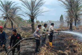 BPBD sedang padamkan lahan terbakar di Musi Banyuasin, terjadi sejak 27 Juli 2025