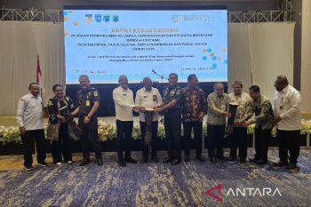 Pemprov Papua ajak masyarakat jadi orang tua asuh mencegah stunting