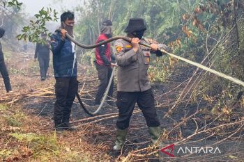 Wakapolres Meranti turun tangan padamkan karhutla, 15 titik api berhasil dijinakkan