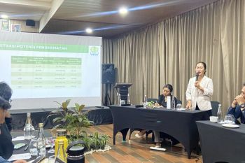 APSA bahas peluang tercapainya 500 MW PLTS di Bali