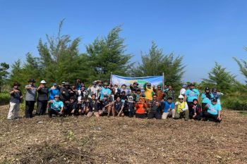 Pemprov Jateng-PLTU tanam 2.000 mangrove di pesisir Roban