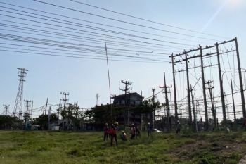PLN imbau warga tidak bermain layangan di dekat jaringan listrik