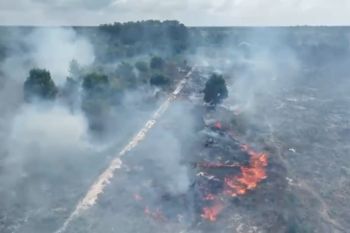 Tiga hektare lahan gambut di Kapuas diduga sengaja dibakar