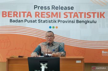 BPS: Neraca perdagangan Bengkulu surplus 53,85 juta dolar AS