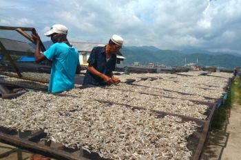Lampung usulkan pembentukan Kampung Nelayan Merah Putih di 10 kabupaten kota