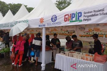 Bulog Tanjungpinang salurkan 2 ton beras SPHP dalam gerakan pangan murah