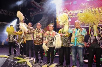 Tapin tampilkan seni budaya dan UMKM unggulan di Tapin Art Fest 2025