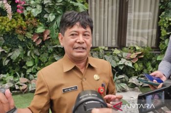 Bakesbangpol belum temukan pengibaran bendera One Piece di Kota Malang