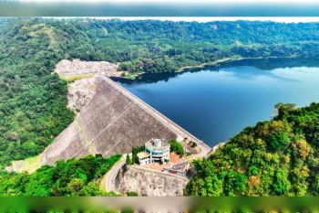 Peningkatan pendapatan dorong PLN tembus Fortune Global 500