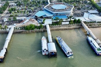 Volume peti kemas pelabuhan di Batam tumbuh 15 persen di semester 1