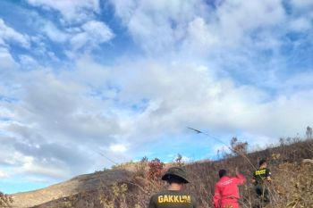 KPHL: seluruh titik karhutla di Bukit Teletabis Pasaman sudah padam