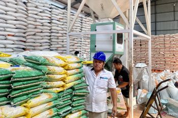 Bulog catat distribusi beras bantuan pangan capai 87 persen di kota Batam