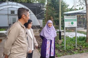 Fakultas Kehutanan Untan membangun laboratorium persemaian