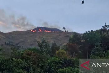 Dishut Sumbar selidiki penyebab kebakaran 100 hektare lahan di Pasaman