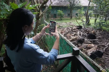 Pusat konservasi beruang madu di Balikpapan