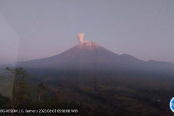 Gunung Semeru 4 kali erupsi Minggu pagi, tinggi letusan 900 meter