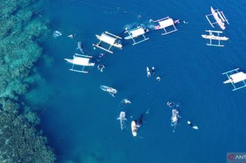 Gorontalo promosikan wisata bahari pada rangkaian HUT ke-80 RI