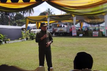 Gubernur Jambi  apresiasi kolaborasi dalam gelaran Gerakan Pangan Murah