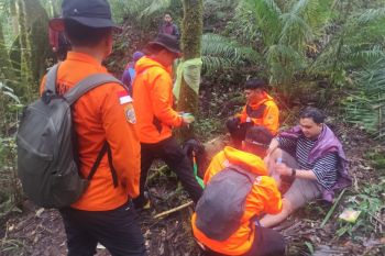 Tim SAR evakuasi enam pendaki Gunung Nokilalaki di Sigi
