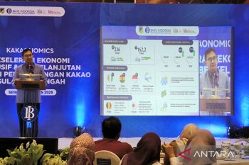 BI: Sulteng perlu manfaatkan Kakao tunjang pertumbuhan ekonomi daerah