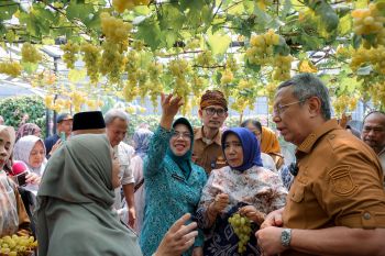 PKK dorong urban farming anggur di Tangsel sumber ekonomi keluarga