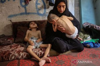 Australia Perkuat Dukungan Kemanusiaan, Tambah Dana untuk Gaza