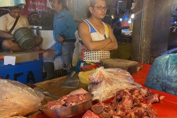 Ahli gizi ungkap mengapa kualitas gizi daging sapi lokal dan impor berbeda