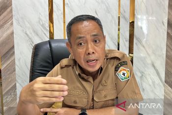 Sultra siapkan 6.745 hektare sawah baru untuk ketahanan pangan