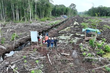 Gakkum Kemenhut segel 80 hektare areal hutan bekas terbakar di Sumatera Selatan