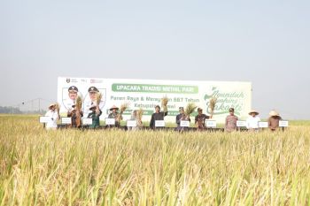Ngawi targetkan lahan tanam ramah lingkungan capai 25.000 hektare