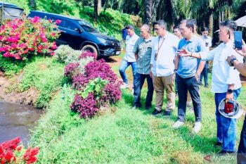 Anggota DPR soroti pentingnya tata kelola lingkungan dalam industri kelapa sawit