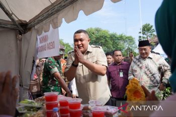 Pemkab Bogor gelar gebyar pelayanan publik sambut HUT ke-80 Kemerdekaan RI