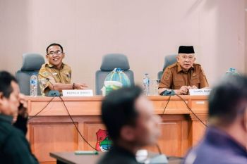Pemkab Banggai susun RUPM 2025 perkuat iklim investasi